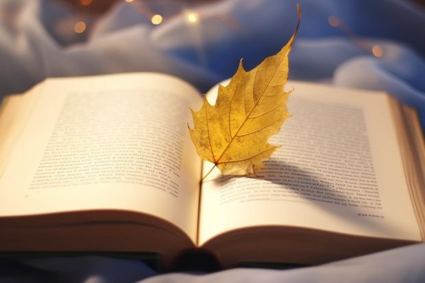 信阳师范学院音乐专业录取分数线 湖南第一师范学院录取分数线？