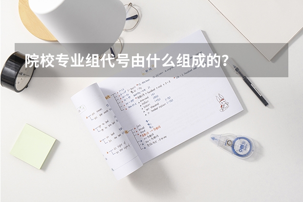 院校专业组代号由什么组成的？