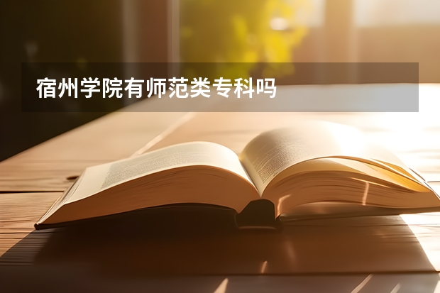 宿州学院有师范类专科吗