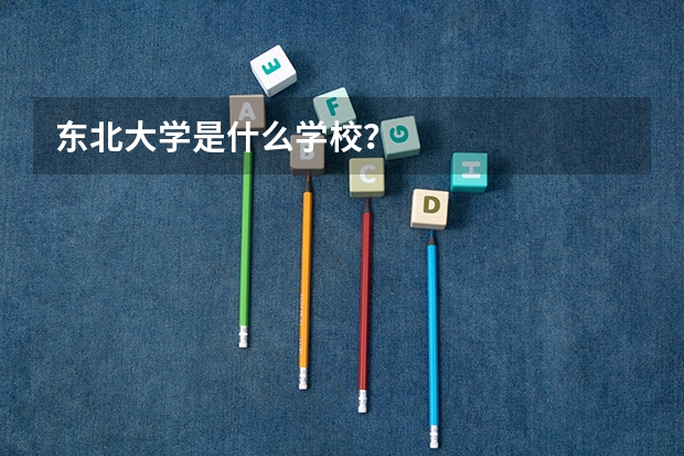 东北大学是什么学校?
