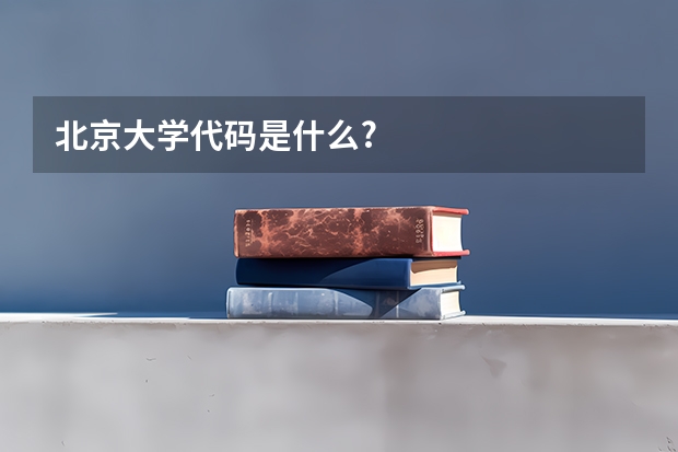 北京大学代码是什么?
