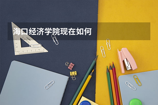 海口经济学院现在如何