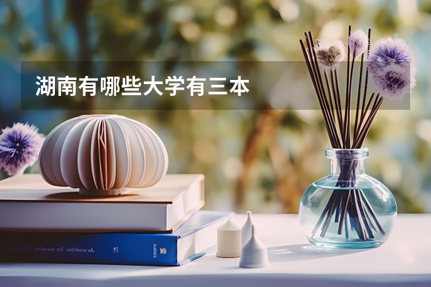 湖南有哪些大学有三本