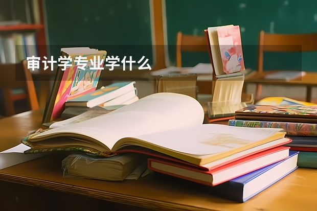 审计学专业学什么