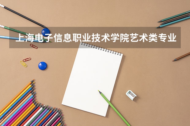 上海电子信息职业技术学院艺术类专业有哪些?