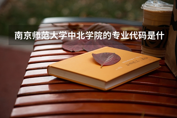 南京师范大学中北学院的专业代码是什么?