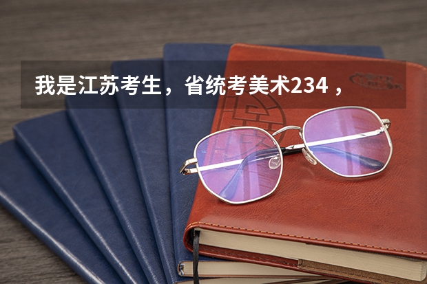 我是江苏考生,省统考美术234 ,文化估计280左右,能念什么学校(南京的)