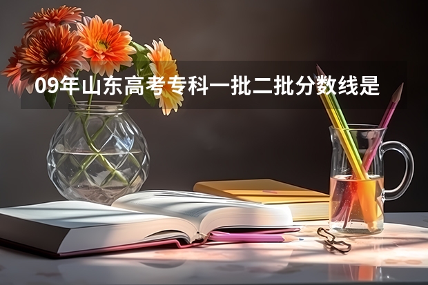09年山东高考专科一批二批分数线是多少?