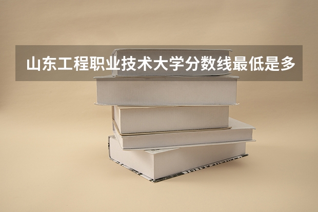 山东工程职业技术大学分数线最低是多少