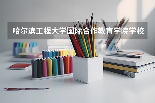 哈尔滨工程大学国际合作教育学院学校代码是多少