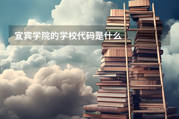 宜宾学院的学校代码是什么