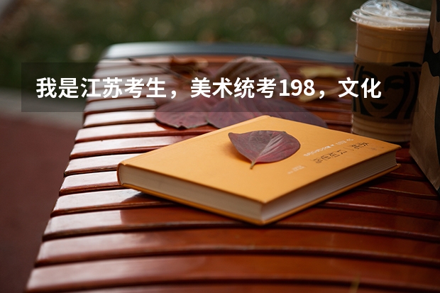 我是江苏考生，美术统考198，文化300左右，大概能上个什么学校呢？一本院校有希望吗？