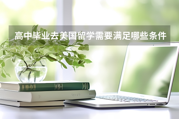 高中毕业去美国留学需要满足哪些条件？大专生出国留学方案有哪些？
