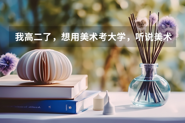 我高二了,想用美术考大学,听说美术要花费很多钱,到底是多少?