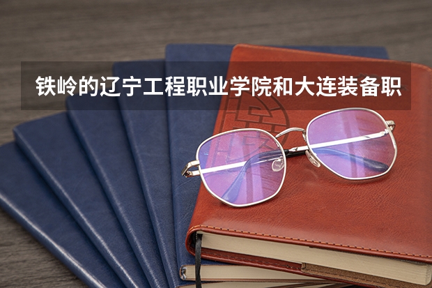 铁岭的辽宁工程职业学院和大连装备职业技术学院哪个好一些?