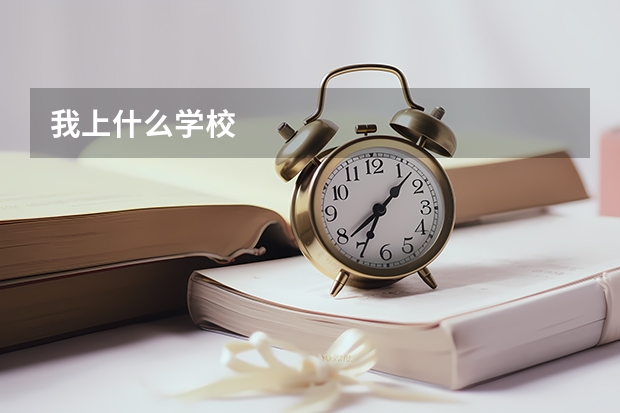 我上什么学校