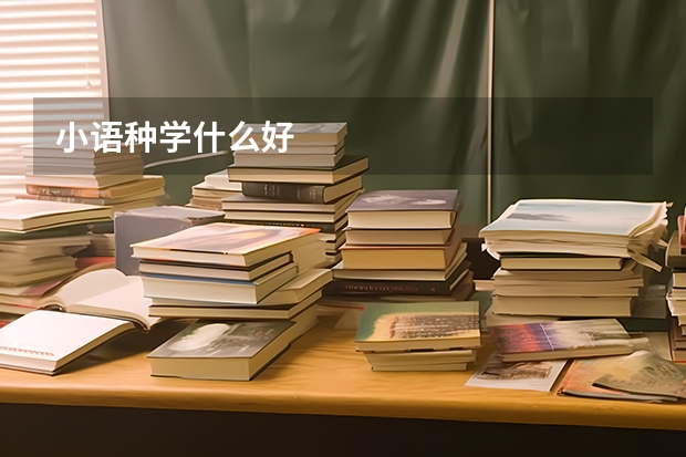 小语种学什么好