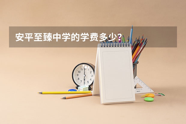 安平至臻中学的学费多少？