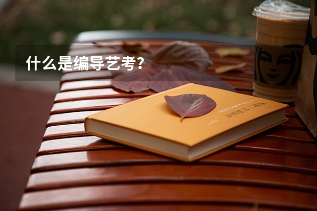 什么是编导艺考？
