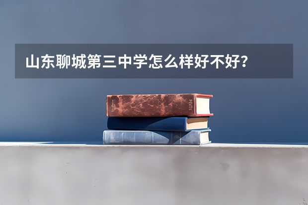 山东聊城第三中学怎么样好不好?
