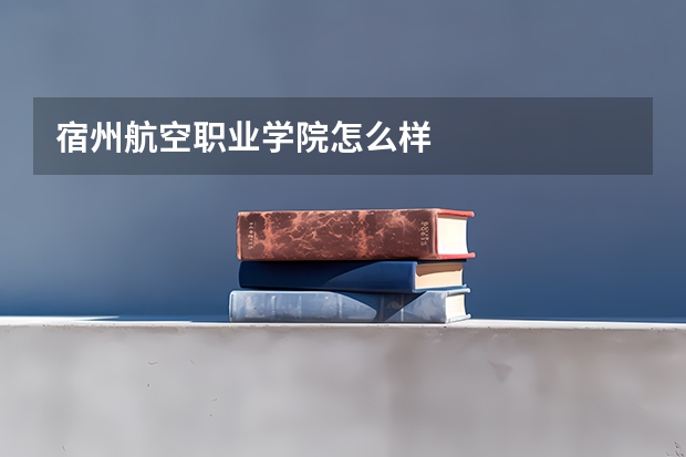 宿州航空职业学院怎么样