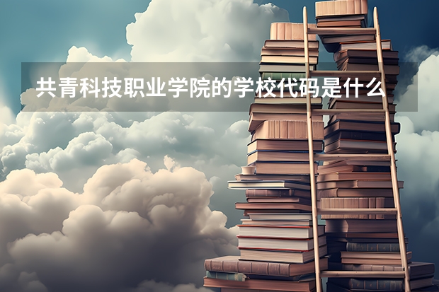 共青科技职业学院的学校代码是什么