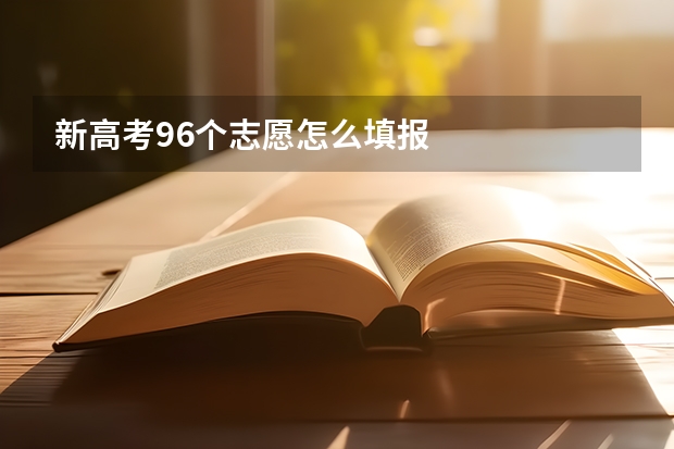 新高考96个志愿怎么填报