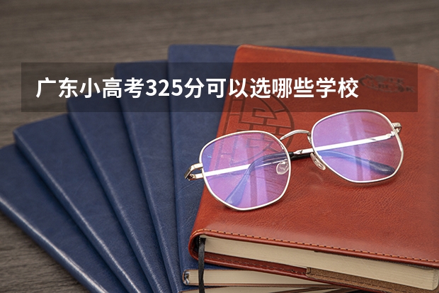 广东小高考325分可以选哪些学校