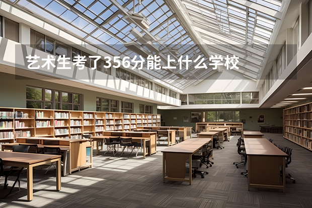 艺术生考了356分能上什么学校
