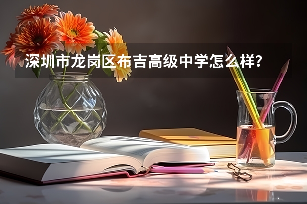 深圳市龙岗区布吉高级中学怎么样？