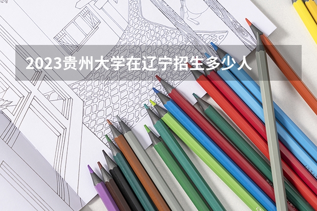2023贵州大学在辽宁招生多少人