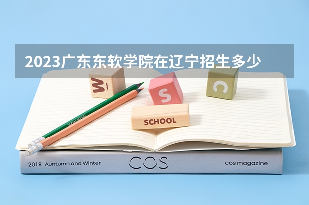 2023广东东软学院在辽宁招生多少人