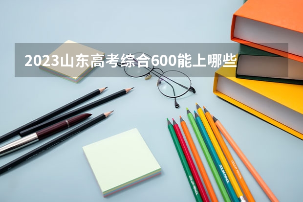 2023山东高考综合600能上哪些大学 