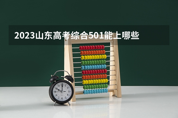 2023山东高考综合501能上哪些大学 