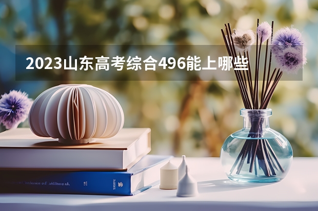 2023山东高考综合496能上哪些大学 