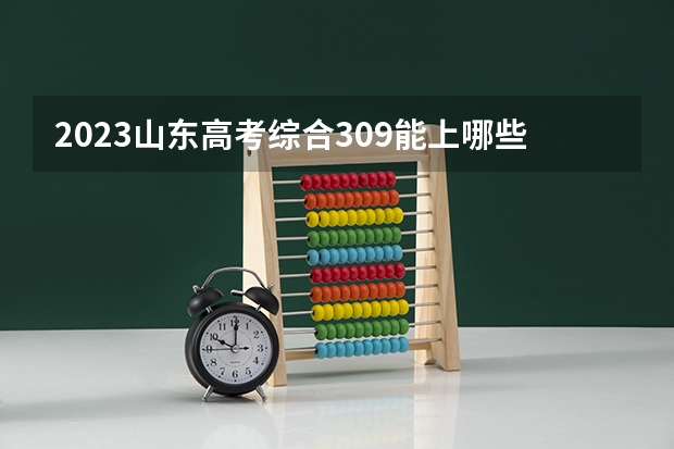 2023山东高考综合309能上哪些大学 
