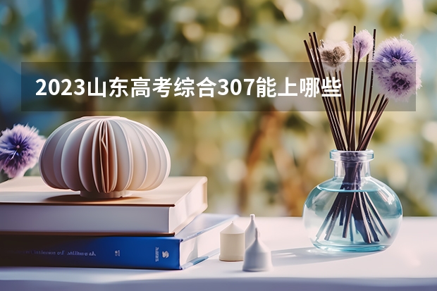 2023山东高考综合307能上哪些大学 