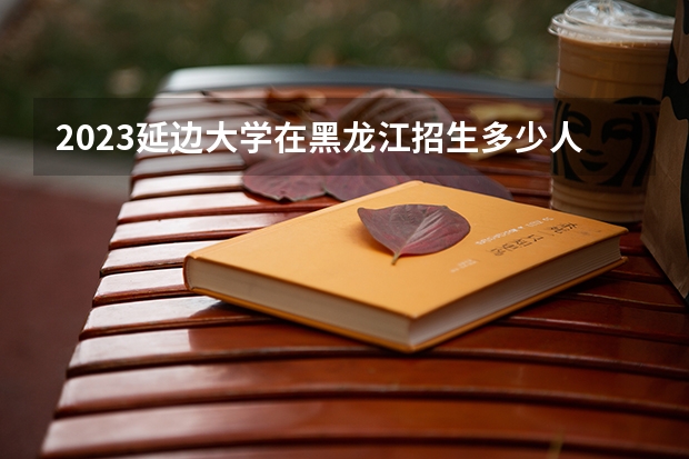 2023延边大学在黑龙江招生多少人