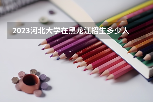 2023河北大学在黑龙江招生多少人