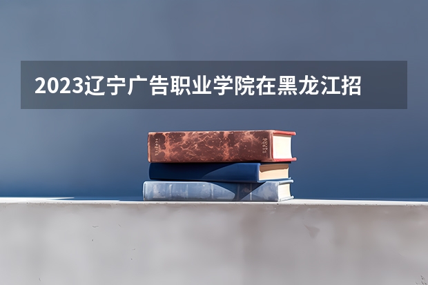 2023辽宁广告职业学院在黑龙江招生多少人