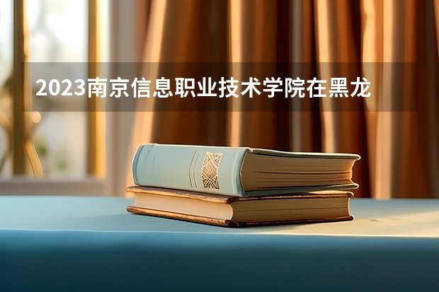 2023南京信息职业技术学院在黑龙江招生多少人