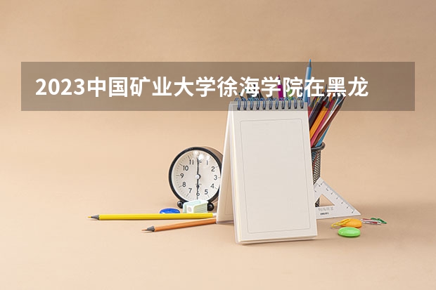 2023中国矿业大学徐海学院在黑龙江招生多少人