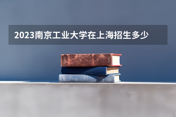 2023南京工业大学在上海招生多少人