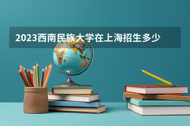 2023西南民族大学在上海招生多少人