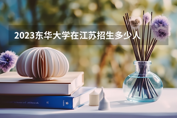 2023东华大学在江苏招生多少人