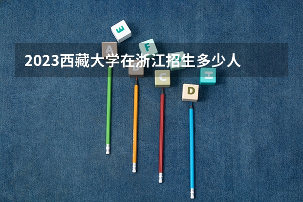 2023西藏大学在浙江招生多少人