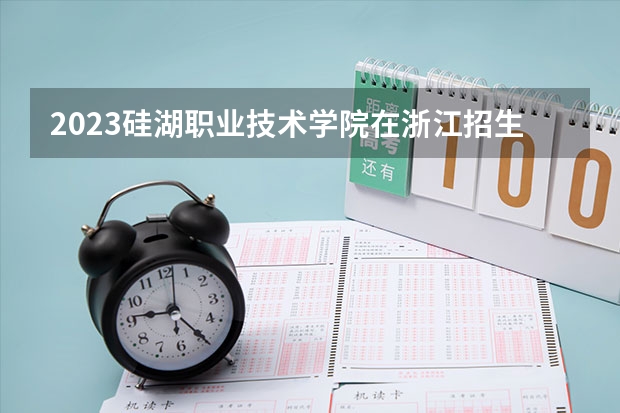 2023硅湖职业技术学院在浙江招生多少人