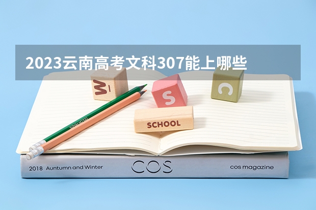 2023云南高考文科307能上哪些大学 