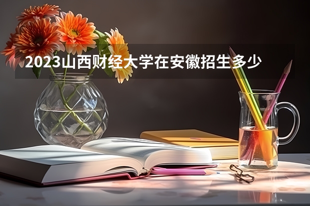 2023山西财经大学在安徽招生多少人