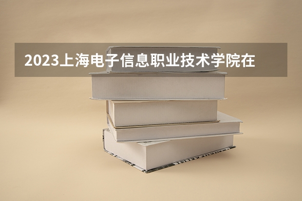 2023上海电子信息职业技术学院在安徽招生多少人